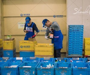 日本琦玉大型物流集團—物流工